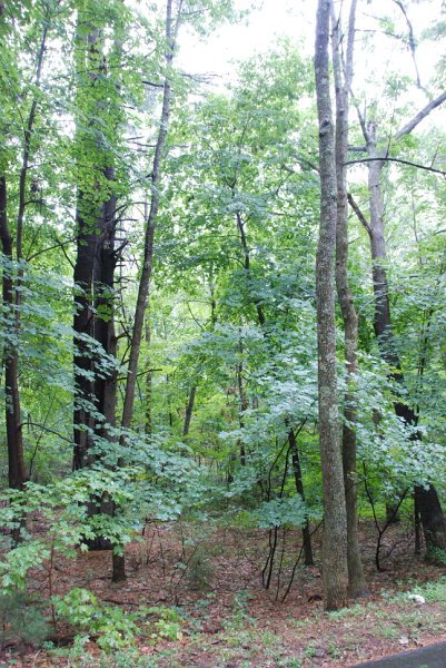 DSC_4902.JPG
