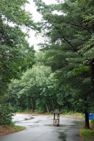DSC_4906.JPG