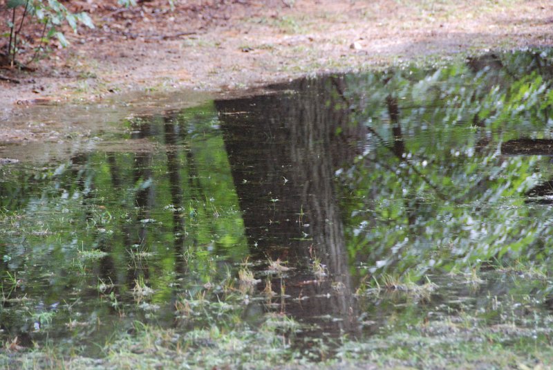 DSC_4907.JPG