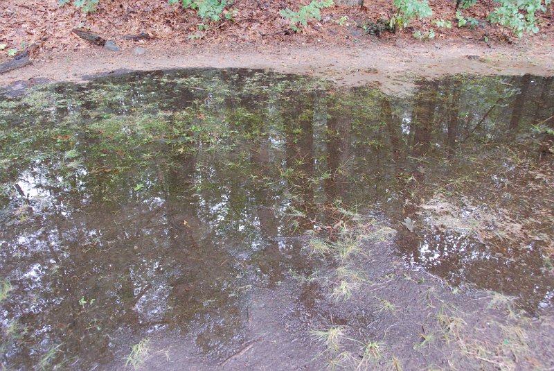 DSC_4908.JPG