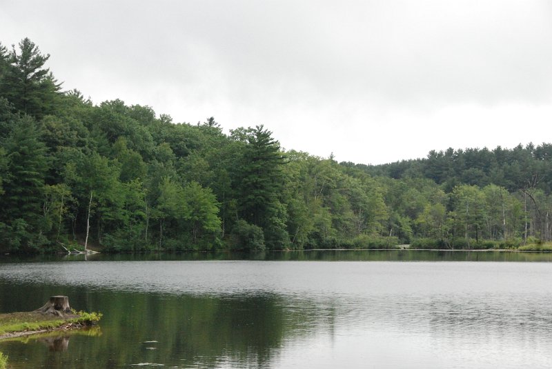 DSC_4911.JPG