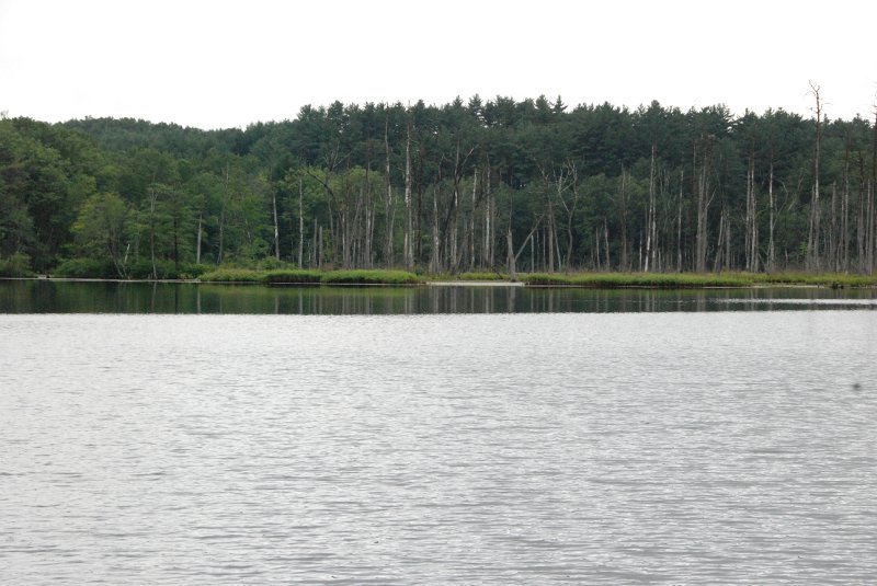 DSC_4918.JPG