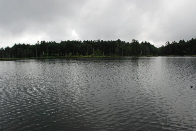 DSC_4925.JPG
