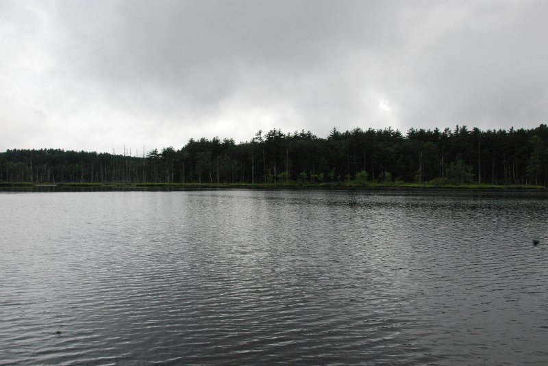 DSC_4926.JPG