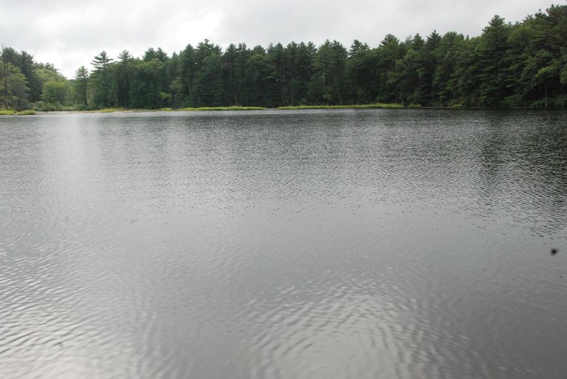 DSC_4945.JPG