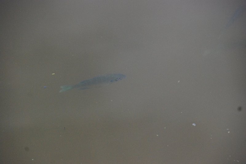 DSC_4957.JPG