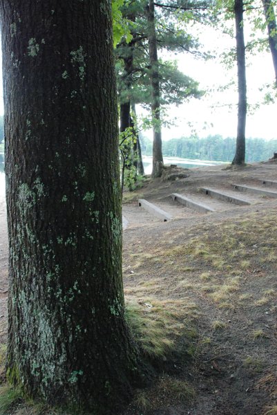 DSC_4964.JPG